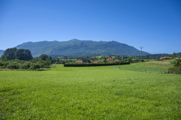 Asturian landscape 66