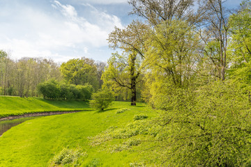 Wald mit Fluss im Frühjahr