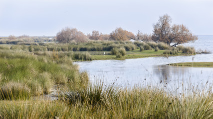 National park of doñana in huelva