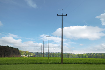 Power poles in field with the green field and clouds in background
