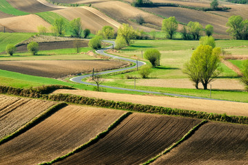 Fields and agriculture, spring countryside, Ponidzie, Poland	