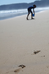 footprints along the beach