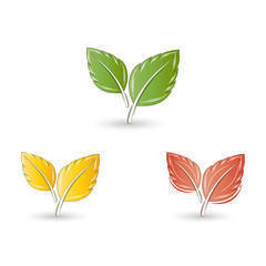 Set of leaves. Element for design.