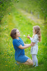 Fototapeta premium A little girl shows her mother how to blow off fluff from a bouquet of dandelions. White seeds are entangled in the woman's hair