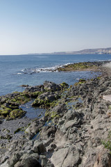 Green rocks on the coastline.