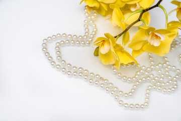 pearl and yellow Orchid on white glass 