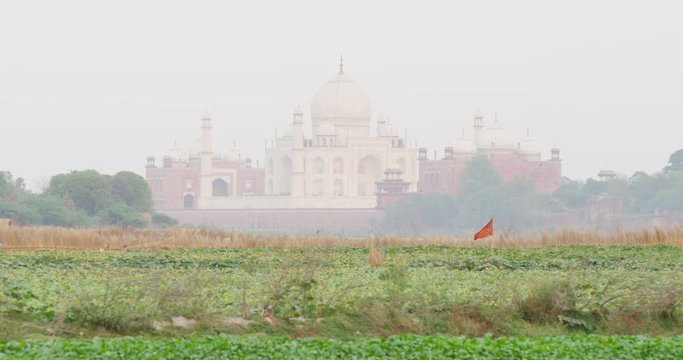 Kakri (Indian Cucumber), and Ghiya (Bottle Gourd) farmers work with the Taj Mahal as their backdrop