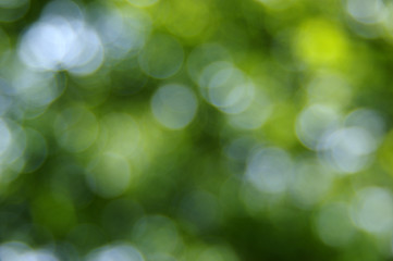 Green blurred background