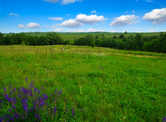 Obraz premium field and sky