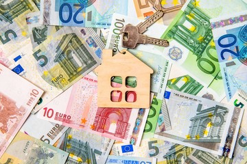     The symbol of the house lies on the background of the Euro 