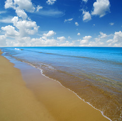 beach and sea