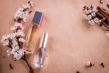 Bottles of perfume with ingredients