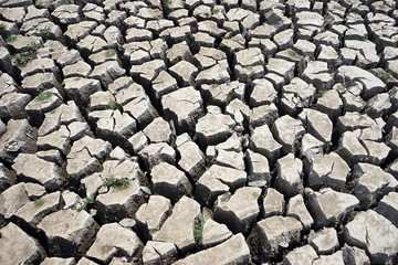 Drought on the field