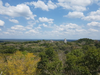 Wald, Landschaft, Urwald in Guatemala, Yaxha