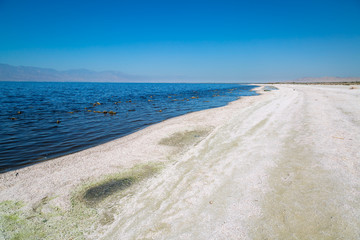 Fototapeta na wymiar Abandoned Salton Sea in California