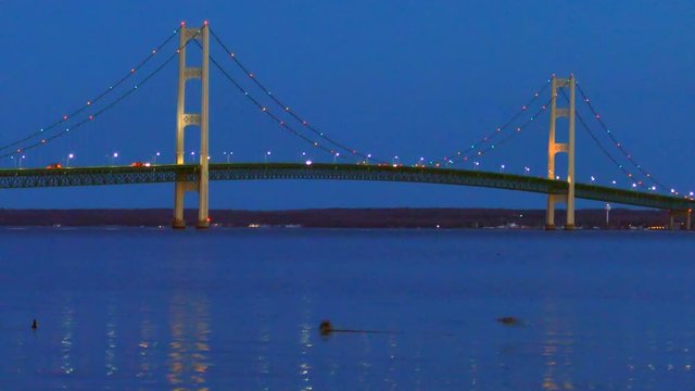 The lights of scenic, Majestic Mackinac Bridge sparkle in deep blue predawn twilight as ducks playfully swim in the foreground, Upper Peninsula of Michigan.