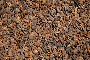 Dried badian