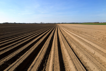 Fototapeta na wymiar rolnictwo