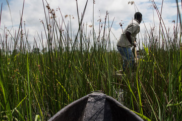 Mokoro Canoe Trip in the Okavango Delta near Maun, Botswana