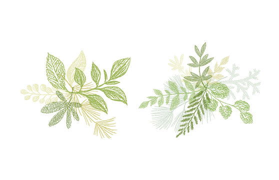 Green leaf hand drawn arrangement. Vector greenery bouquets isolated on white background. Love spring design set for cards