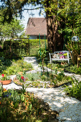 Blumen im Vorgarten