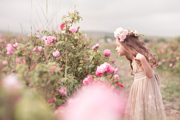 Cute baby girl 3-4 year old smelling roses in field. Spring time. Childhood.