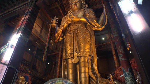 Golden buddha stand statue Gandan Gandantegchinlen Chinese-style Tibetan Buddhist Monastery. Center of Mongolian capital of Ulaanbaatar. Religion world famous attraction. gimbal walk