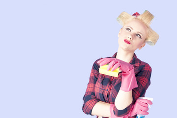  Housewife holding a cleaning spray