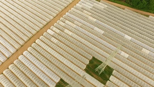 Aerial power pole between greenhouses in germany