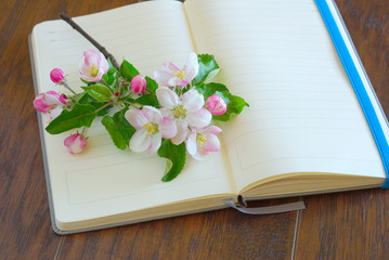 Fototapeta premium flower blossom lyrics diary