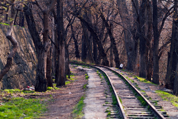  Railway track in the forest.