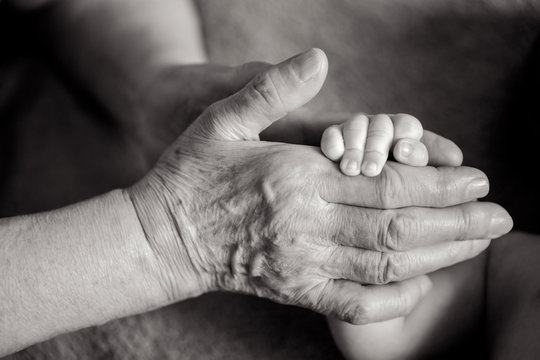 great-grandmother holds the hands of his beloved grandson