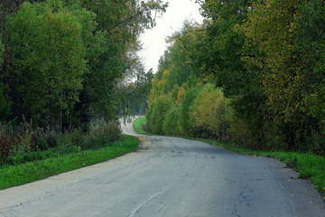 autumn landscape in the city park
