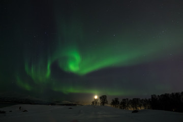 Fototapeta na wymiar Aurora Borealis in Tromsø