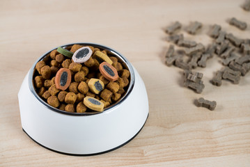 Dog, Cat Food in Bowl