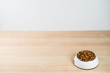 Dog, Cat Food in Bowl
