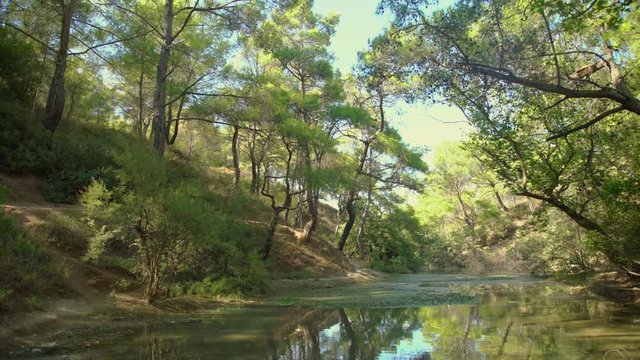Seven springs, Epta piges, video footage (river in forest) Rhodes, Greece.
