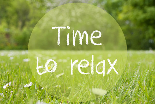 Gras Meadow, Daisy Flowers, Text Time To Relax