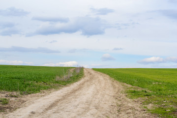 Fototapeta na wymiar dirt field road. village background. green grass and blue sky