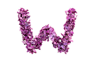 Flower letter lilac or purple color isolated on white background . Letter W