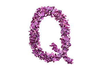 Flower letter lilac or purple color isolated on white background . Letter Q