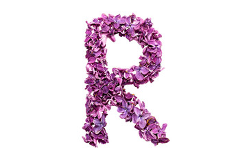 Flower letter lilac or purple color isolated on white background . Letter R