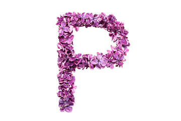 Flower letter lilac or purple color isolated on white background . Letter P