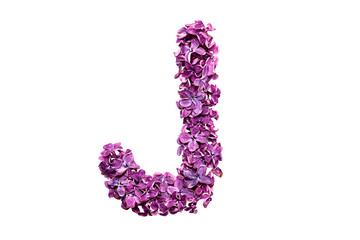 Flower letter lilac or purple color isolated on white background . Letter J
