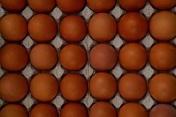 Текстура из коричневых куриных яиц в бумажном лотке