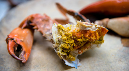 Steamed crab with eggs ready to eat (Focused at eggs)