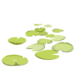 Group vector water lilies floating on water surface. Green low poly water lily. Water plants in different variant, isolated on white background. Isometric clumps growing on edge of pool and pond.