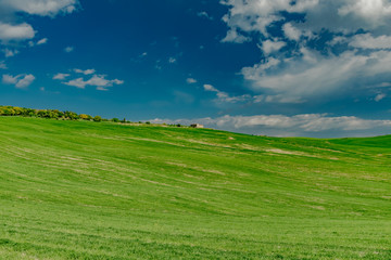 Obraz premium Spring landscape of the hills of southern tuscany