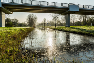 Fototapeta premium Nature friendly banks in urban areas (Lelystad, The Netherlands)