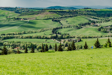 Spring landscape of the hills of southern tuscany